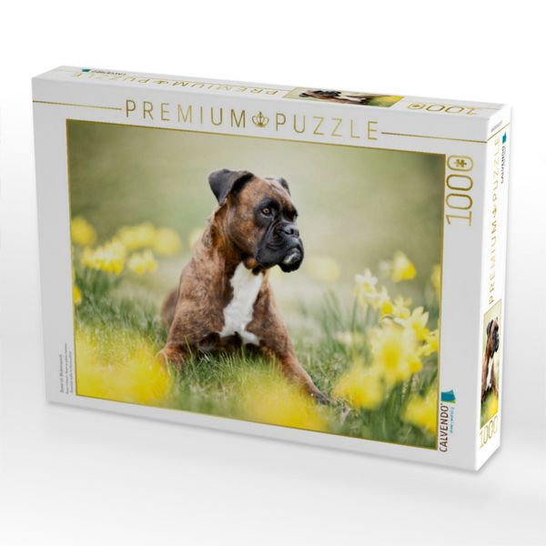 Produktbild: CALVENDO Puzzle Boxer im Bl&uuml;tenrausch | 1000 Teile Lege-Gr&ouml;&szlig;e 64x48cm Foto-Puzzle f&uuml;r gl&uuml;ckliche Stunden