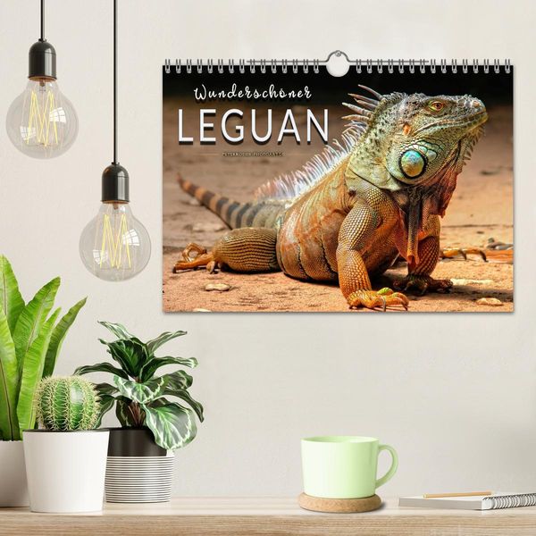 Produktbild: Wundersch&ouml;ner Leguan (Wandkalender 2026 DIN A4 quer), CALVENDO Monatskalender
