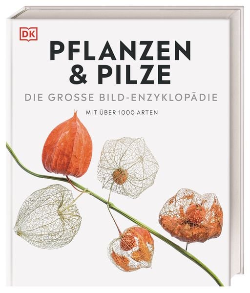 Produktbild: DK Bibliothek. Pflanzen & Pilze