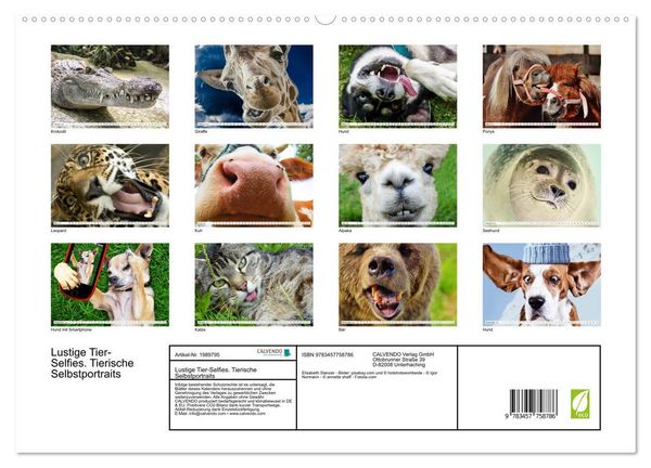 Produktbild: Lustige Tier-Selfies. Tierische Selbstportraits (hochwertiger Premium Wandkalender 2026 DIN A2 quer), Kunstdruck in Hochglanz