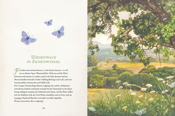 Wiesenwald