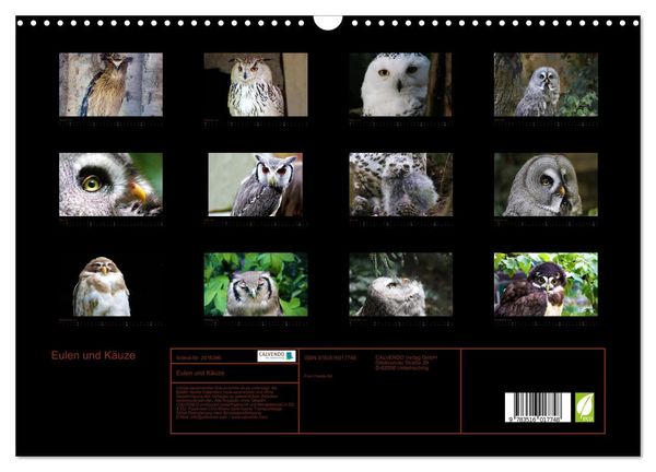 Produktbild: Eulen und K&auml;uze (Wandkalender 2026 DIN A3 quer), CALVENDO Monatskalender