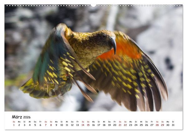 Produktbild: Neuseeland-Aotearoa, Land der wei&szlig;en Wolke (hochwertiger Premium Wandkalender 2026 DIN A2 quer), Kunstdruck in Hochglanz