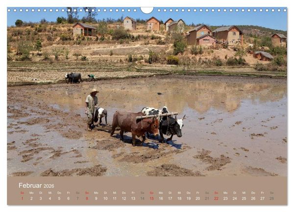 Produktbild: Alltag in Madagaskar (Wandkalender 2026 DIN A3 quer), CALVENDO Monatskalender