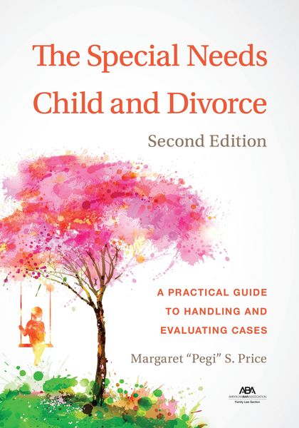 Produktbild: The Special Needs Child and Divorce
