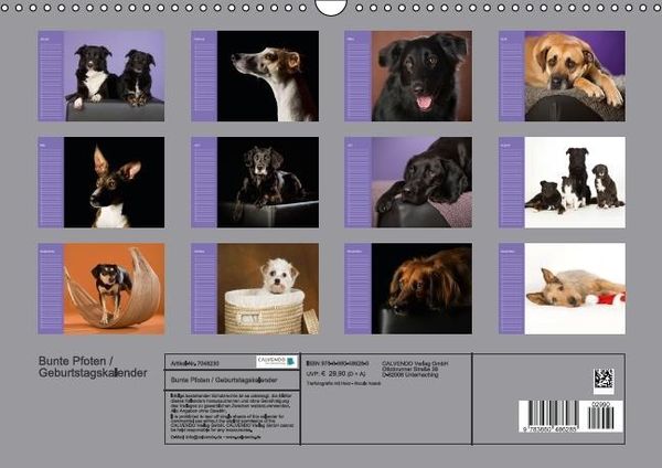 Produktbild: Bunte Pfoten / Geburtstagskalender (Wandkalender immerw&auml;hrend DIN A3 quer)