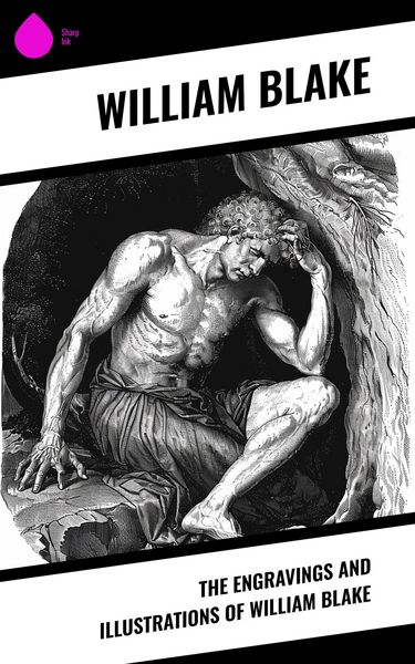 Produktbild: The Engravings and Illustrations of William Blake