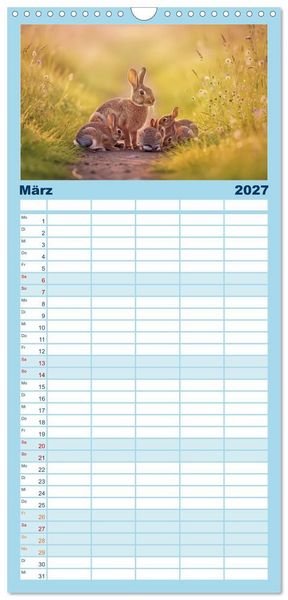 Produktbild: Familienplaner 2027 - Zwischen den Feldern mit 5 Spalten (Wandkalender, 21 x 45 cm) CALVENDO