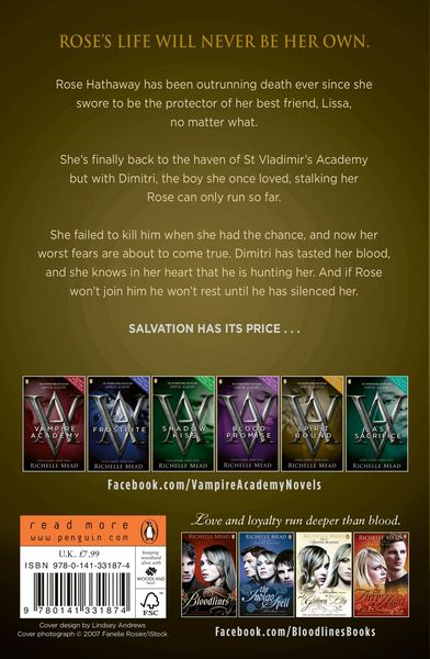 Produktbild: Vampire Academy: Spirit Bound (book 5)