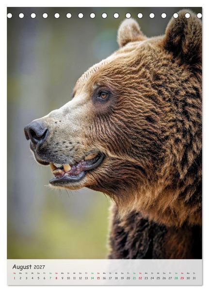 Produktbild: Grizzlyb&auml;ren und Lachse (Tischkalender 2027 DIN A5 hoch), CALVENDO Monatskalender