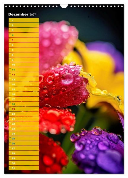 Produktbild: Bunte Augenblicke (Wandkalender 2027 DIN A3 hoch), CALVENDO Monatskalender