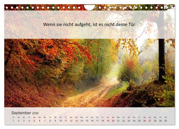Produktbild: Motivationsspr&uuml;che Erfolgsweg (Wandkalender 2026 DIN A4 quer), CALVENDO Monatskalender