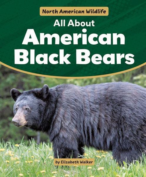 Produktbild: All about American Black Bears