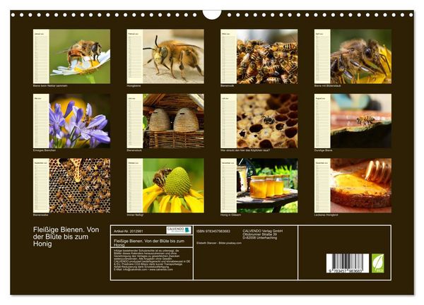 Produktbild: Flei&szlig;ige Bienen. Von der Bl&uuml;te bis zum Honig (Wandkalender 2026 DIN A3 quer), CALVENDO Monatskalender