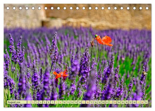 Produktbild: Traum-Ziele - Lavendel der Provence, Frankreich (Tischkalender 2026 DIN A5 quer), CALVENDO Monatskalender