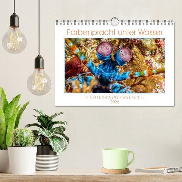 Produktbild: Farbenpracht unter Wasser (Wandkalender 2026 DIN A4 quer), CALVENDO Monatskalender