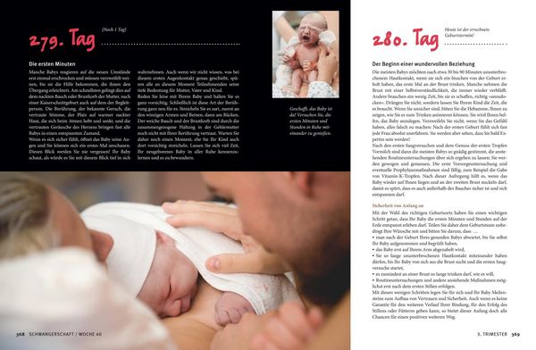 Produktbild: Meine Schwangerschaft