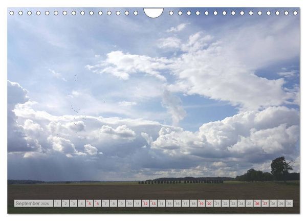 Produktbild: Natur-Paradies Mecklenburgische Schweiz (Wandkalender 2026 DIN A4 quer), CALVENDO Monatskalender