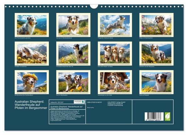 Produktbild: Australian Shepherd. Wanderfreude auf Pfoten im Bergsommer (Wandkalender 2026 DIN A3 quer), CALVENDO Monatskalender