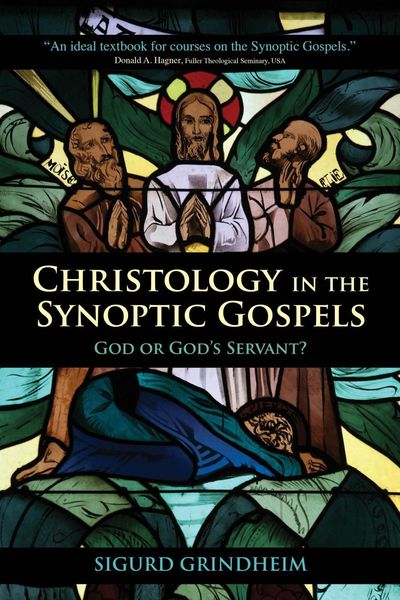 Produktbild: Christology in the Synoptic Gospels