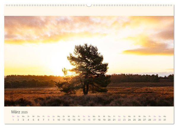 Mehlinger Heide (Wandkalender 2025 DIN A2 quer), CALVENDO Monatskalender