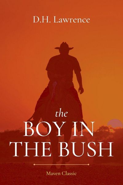 Produktbild: The Boy in the Bush