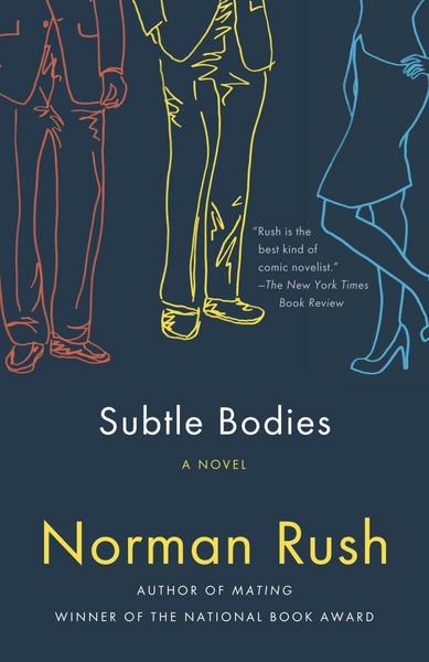 Produktbild: Subtle Bodies