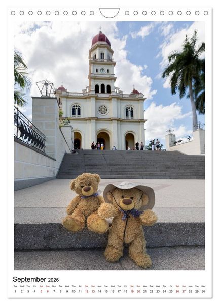 Produktbild: Travelling Teddy Cuba Edition 2026 (Wall Calendar 2026 DIN A4 portrait), CALVENDO 12 Month Wall Calendar
