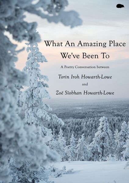 Produktbild: What An Amazing Place We've Been To