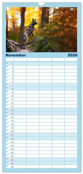 Produktbild: Familienplaner 2026 - H&uuml;tehunde - H&uuml;ter der Herzen mit 5 Spalten (Wandkalender, 21 x 45 cm) CALVENDO