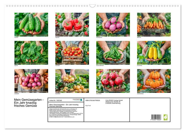 "Mein Gemüsegarten Ein Jahr knackig frisches Gemüse (Wandkalender