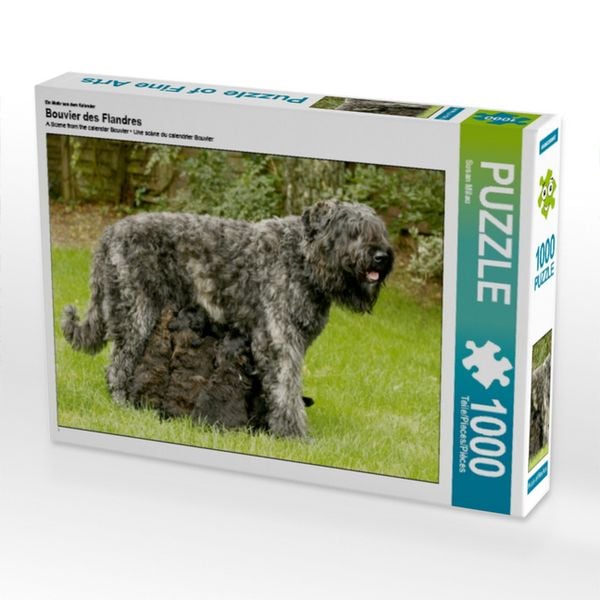 CALVENDO Puzzle Ein Motiv aus dem Kalender Bouvier des Flandres | 1000 Teile Lege-Größe 64x48cm Foto-Puzzle für glückliche Stunden