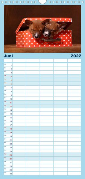 Produktbild: Familienplaner S&uuml;&szlig;e Tr&auml;ume 2022 - schlafende Hundewelpen (Wandkalender 2022 , 21 cm x 45 cm, hoch)