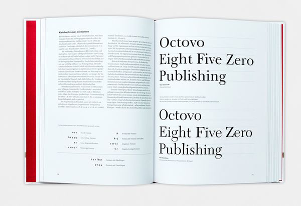 Produktbild: Anatomie der Buchstaben