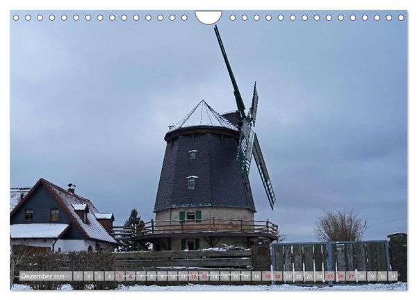 Produktbild: Faszination Galerieholl&auml;nder (Wandkalender 2026 DIN A4 quer), CALVENDO Monatskalender