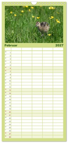 Produktbild: Familienplaner 2027 - Die bedrohten Uferschnepfen mit 5 Spalten (Wandkalender, 21 x 45 cm) CALVENDO