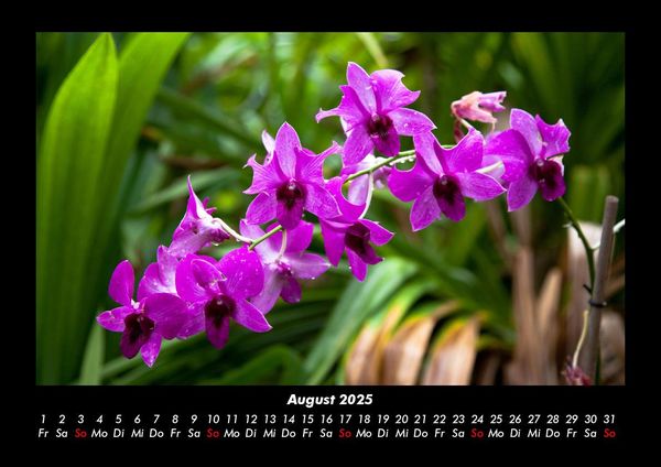 Produktbild: Natur 2025 Fotokalender DIN A3