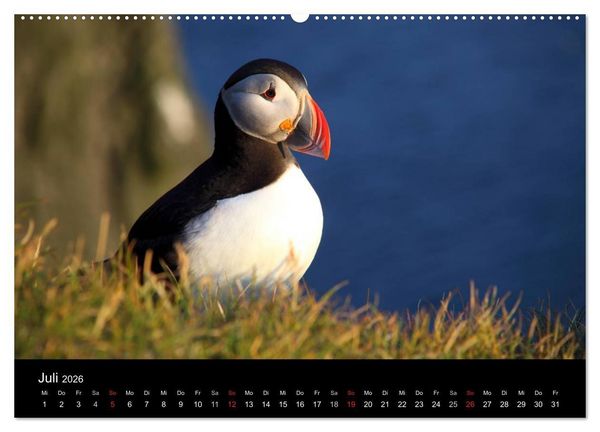 Produktbild: Island - Iceland (hochwertiger Premium Wandkalender 2026 DIN A2 quer), Kunstdruck in Hochglanz