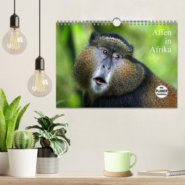Produktbild: Affen in Afrika (Wandkalender 2026 DIN A4 quer), CALVENDO Monatskalender