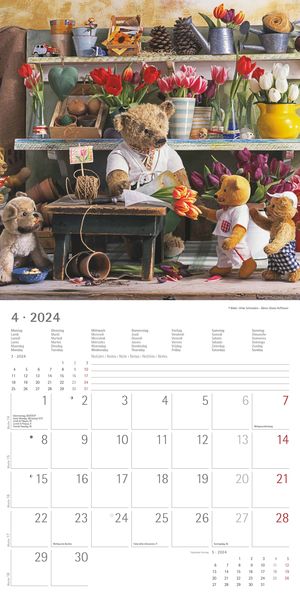  Teddy 2022 - Broschürenkalender 30x30 cm (30x60 geöffnet) -  Kalender mit Platz für Notizen - Bildkalender - Wandplaner - mit  herausnehmbarem Poster : Everything Else