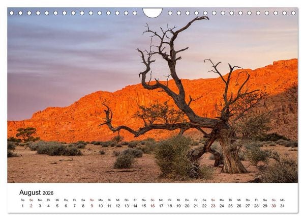 Produktbild: B&auml;ume in Namibias Landschaften (Wandkalender 2026 DIN A4 quer), CALVENDO Monatskalender