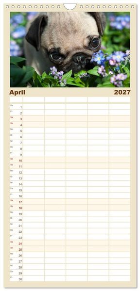 Produktbild: Familienplaner 2027 - Mops mit 5 Spalten (Wandkalender, 21 x 45 cm) CALVENDO
