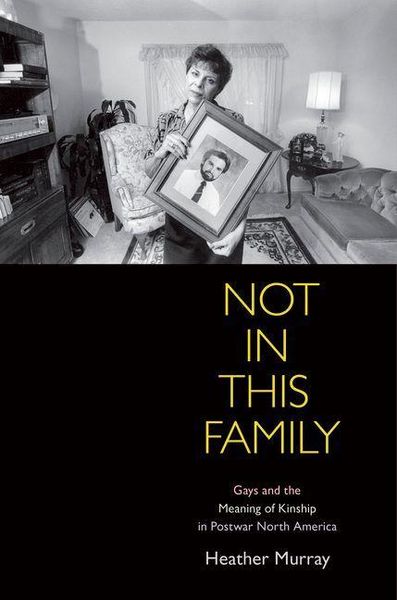Produktbild: Not in This Family