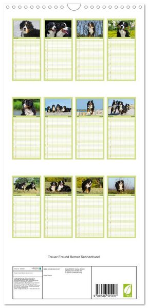Produktbild: Familienplaner 2026 - Treuer Freund Berner Sennenhund mit 5 Spalten (Wandkalender, 21 x 45 cm) CALVENDO