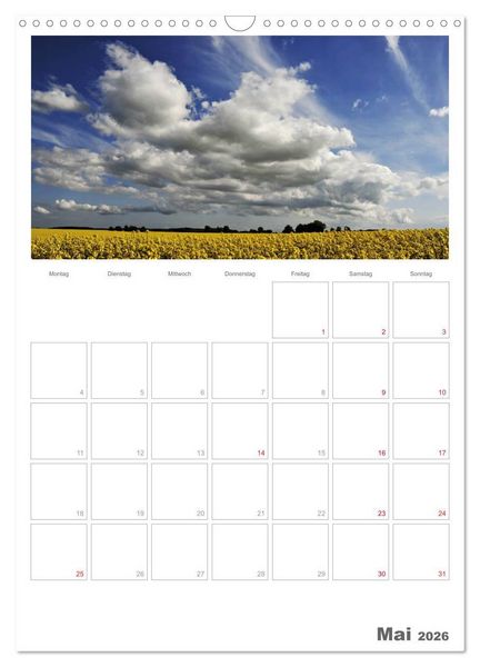 Produktbild: Insel R&uuml;gen / Planer (Wandkalender 2026 DIN A3 hoch), CALVENDO Monatskalender