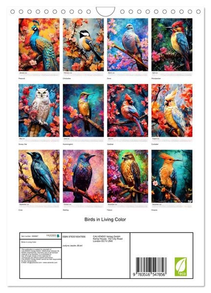 Produktbild: Birds in Living Color (Wall Calendar 2026 DIN A4 portrait), CALVENDO 12 Month Wall Calendar