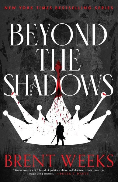 Cover of the book Beyond The Shadows