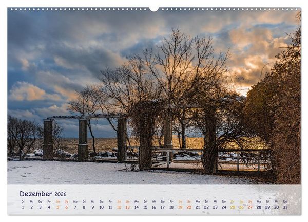 Produktbild: R&uuml;genliebe (Wandkalender 2026 DIN A2 quer), CALVENDO Monatskalender