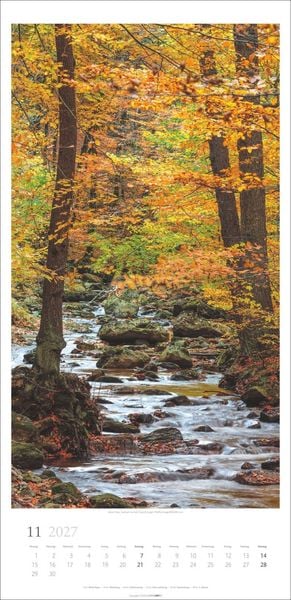 Produktbild: Im Wald Kalender 2027