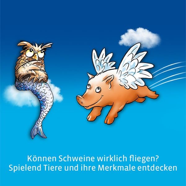 Produktbild: K&ouml;nnen Schweine fliegen?